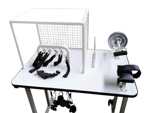 Mesa de Manos para Rehabilitación, Fábrica y Venta 