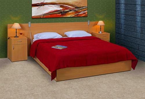 Accesorios para Camas Ortopédicas, Articuladas y Hospitalarias.